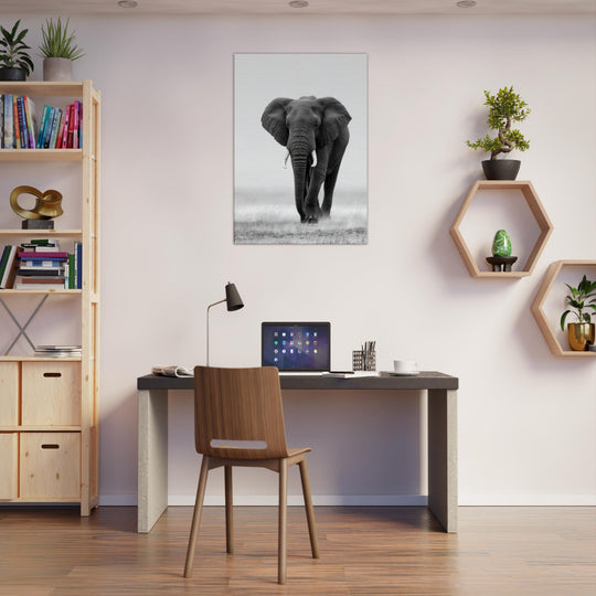 a6b20416-95c6-423a-b6bb-f5d22d19ae5e