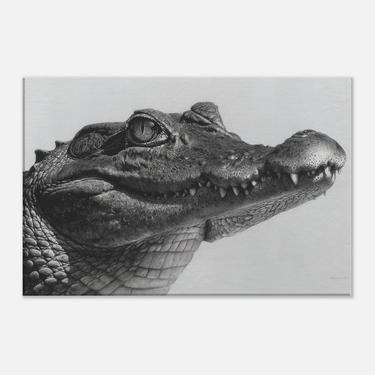 a7bf29e2-311c-47cc-b6d7-5d023f109d25