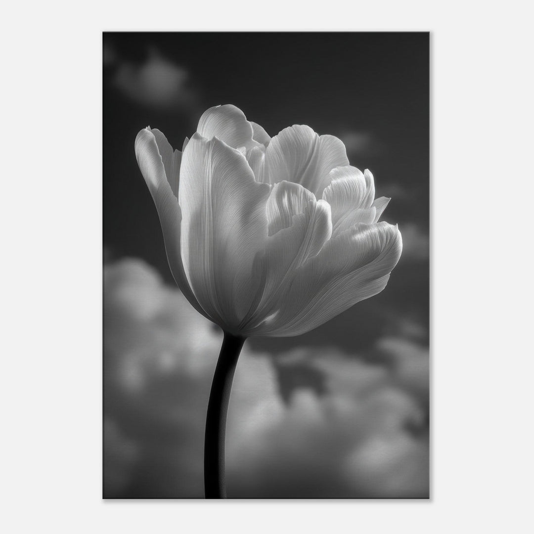 a7fda378-4d21-43ff-861a-557f36b1f7f6