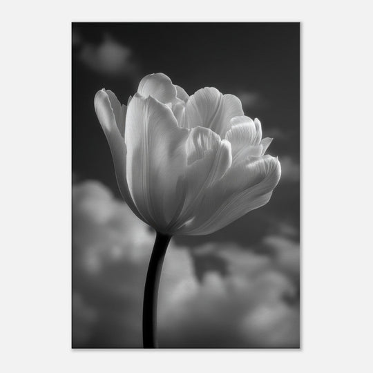 a7fda378-4d21-43ff-861a-557f36b1f7f6