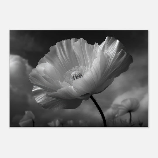 a8792aa8-d47c-49bd-b5f4-68d8fc4c5349