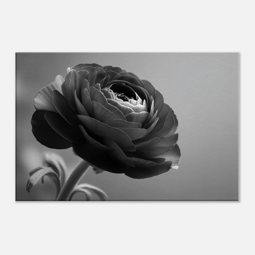 a88b8dac-bcbc-44cd-a377-2550cc72a7ef