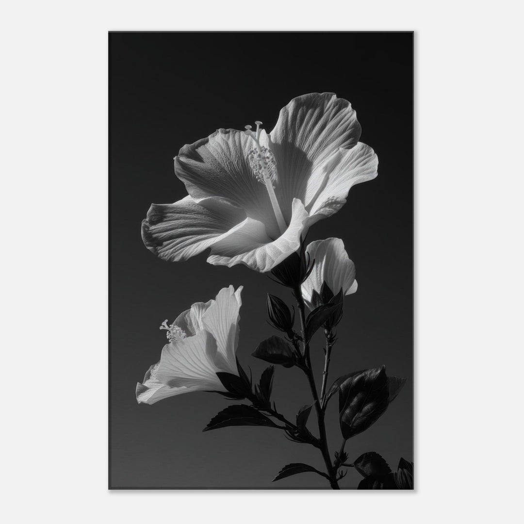 a89d9cb9-e8d3-4898-a132-bfbb550da011