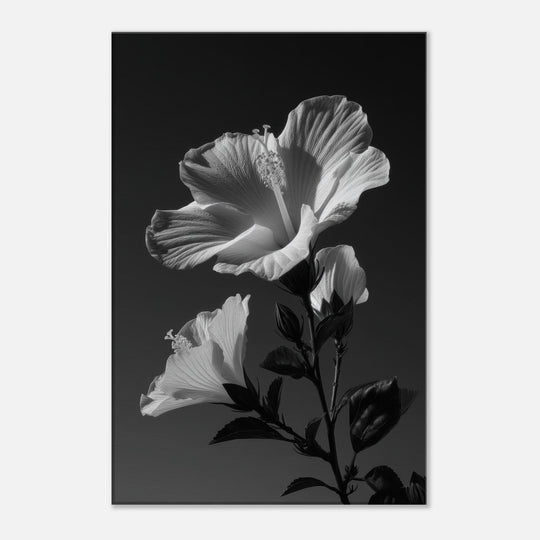 a89d9cb9-e8d3-4898-a132-bfbb550da011