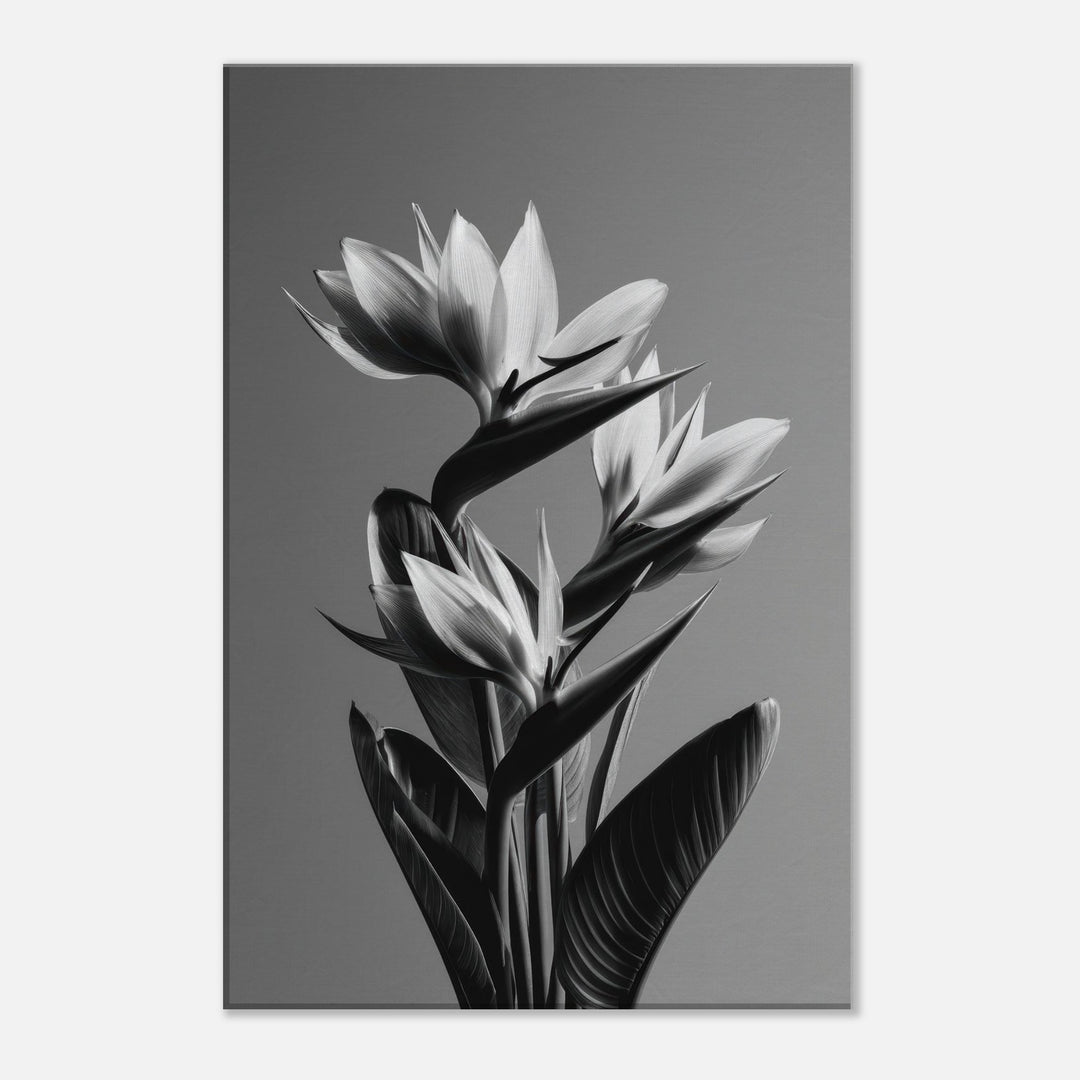 a95ee3c4-3741-4328-b961-3e14ad806e5d