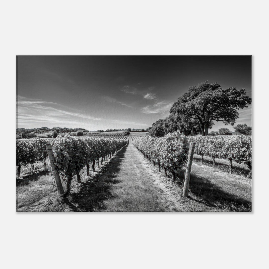 a9bd12d2-a3d1-40c0-9682-4e8bcc48a02d