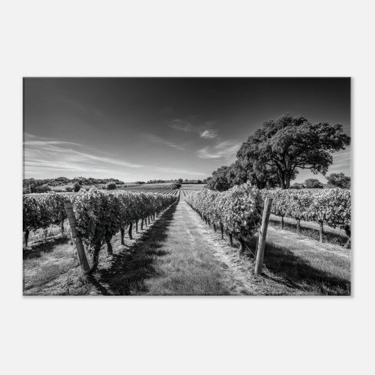 a9bd12d2-a3d1-40c0-9682-4e8bcc48a02d