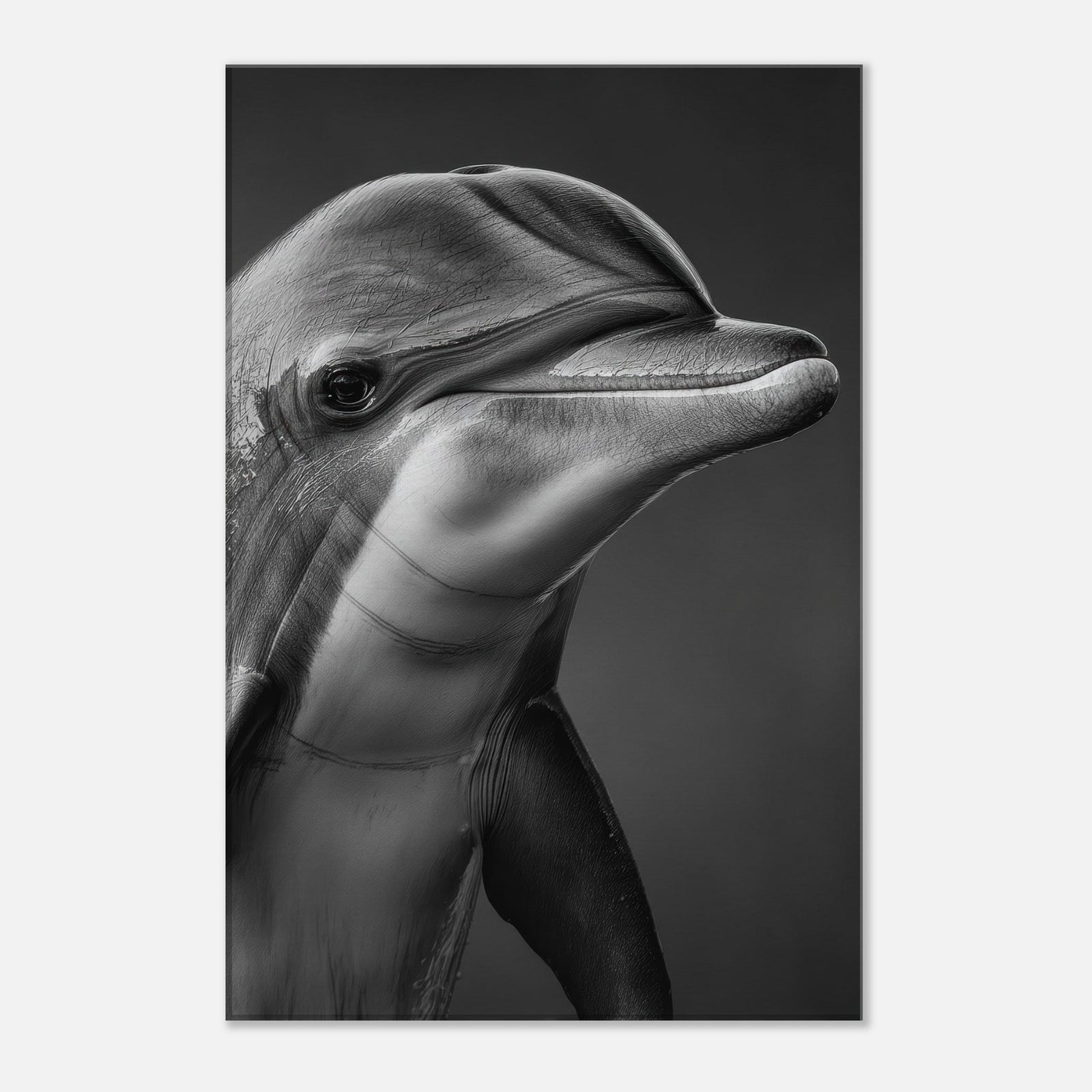 aaeb29d6-3598-4120-a919-404fbff1481b