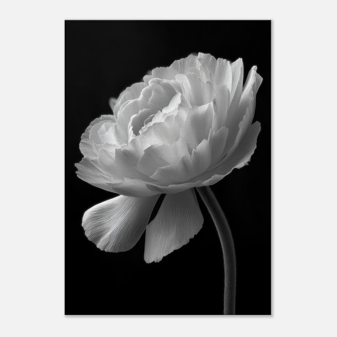 aaed1c68-bb3a-4123-8436-b44844d9dfb2