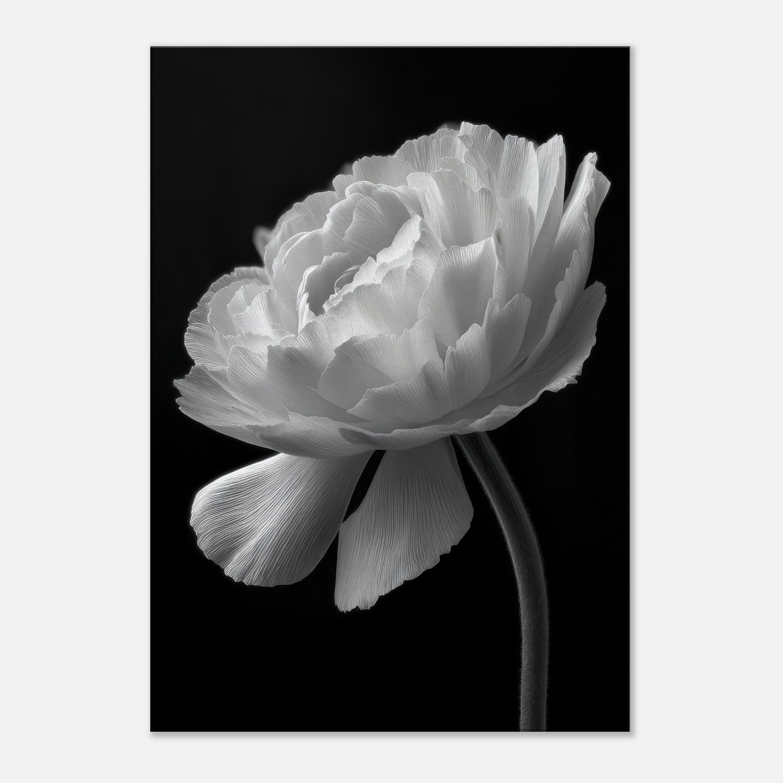 aaed1c68-bb3a-4123-8436-b44844d9dfb2