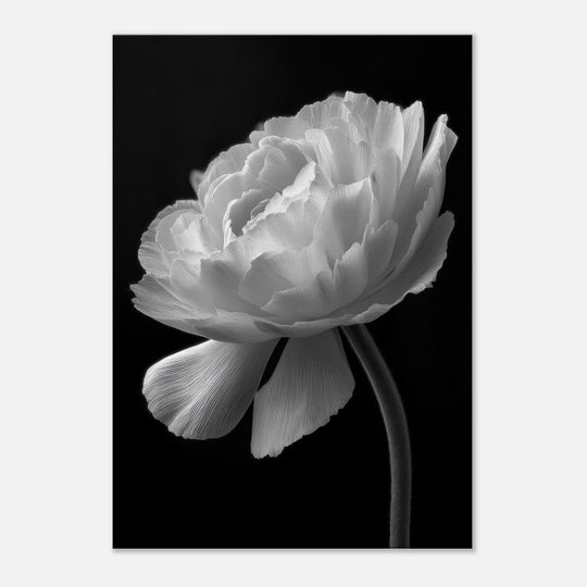 aaed1c68-bb3a-4123-8436-b44844d9dfb2