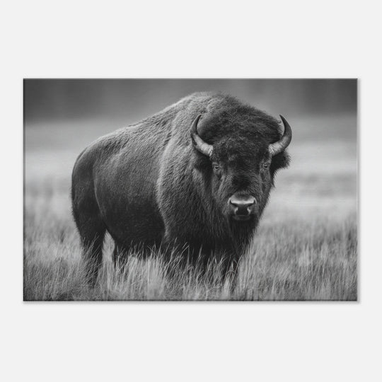 ac0e46b2-c5fa-4a6e-a833-0114749e4459