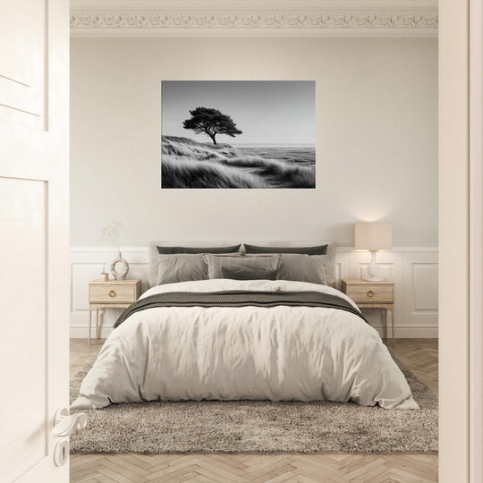 ac664328-b3ca-4c66-bfe3-cb6c5b8a9faf