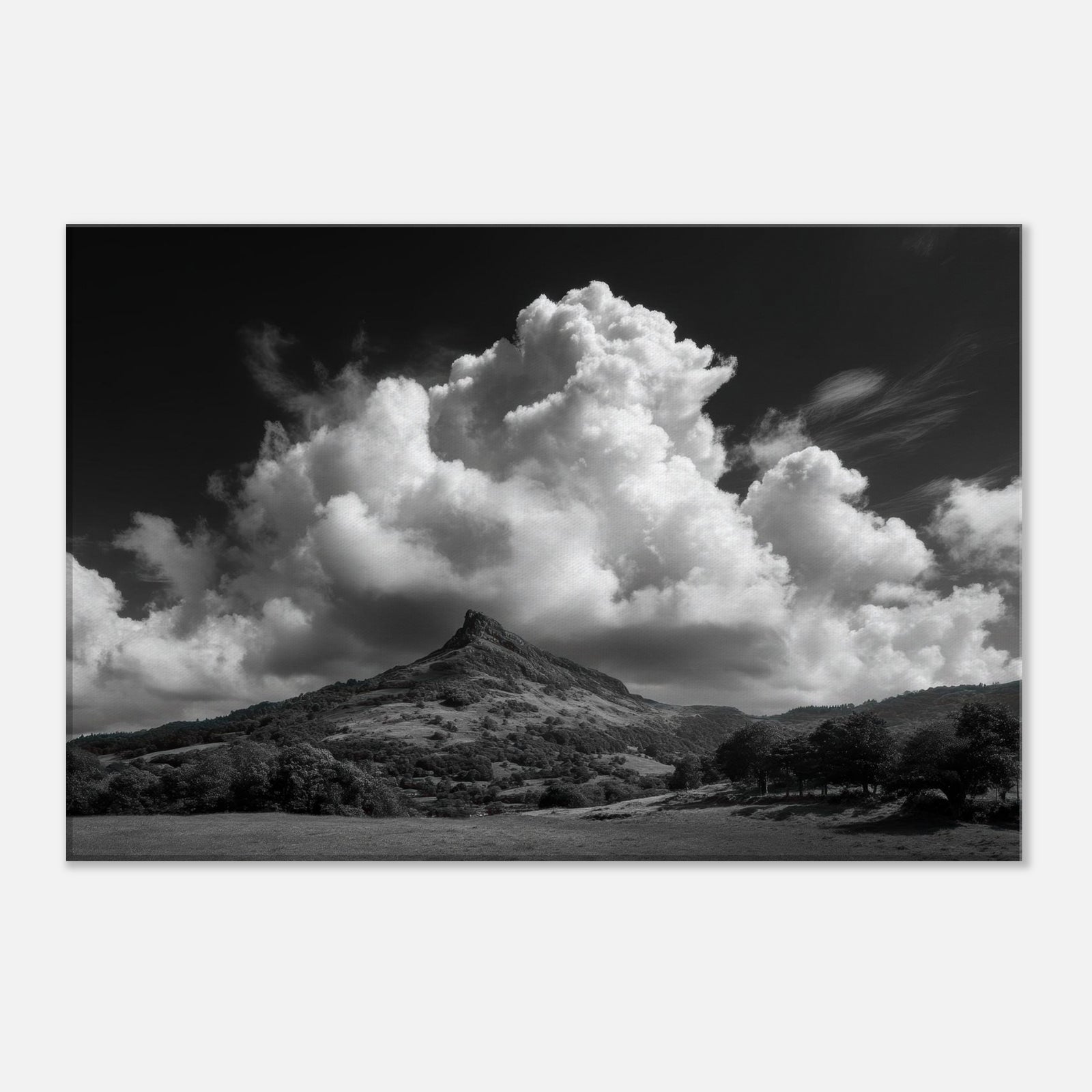 ac774451-baa9-4056-a92d-3f50c1ee3ac6