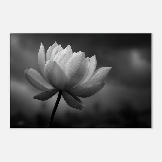 ac77e6b8-639b-4890-b25e-61d2b36d2caa