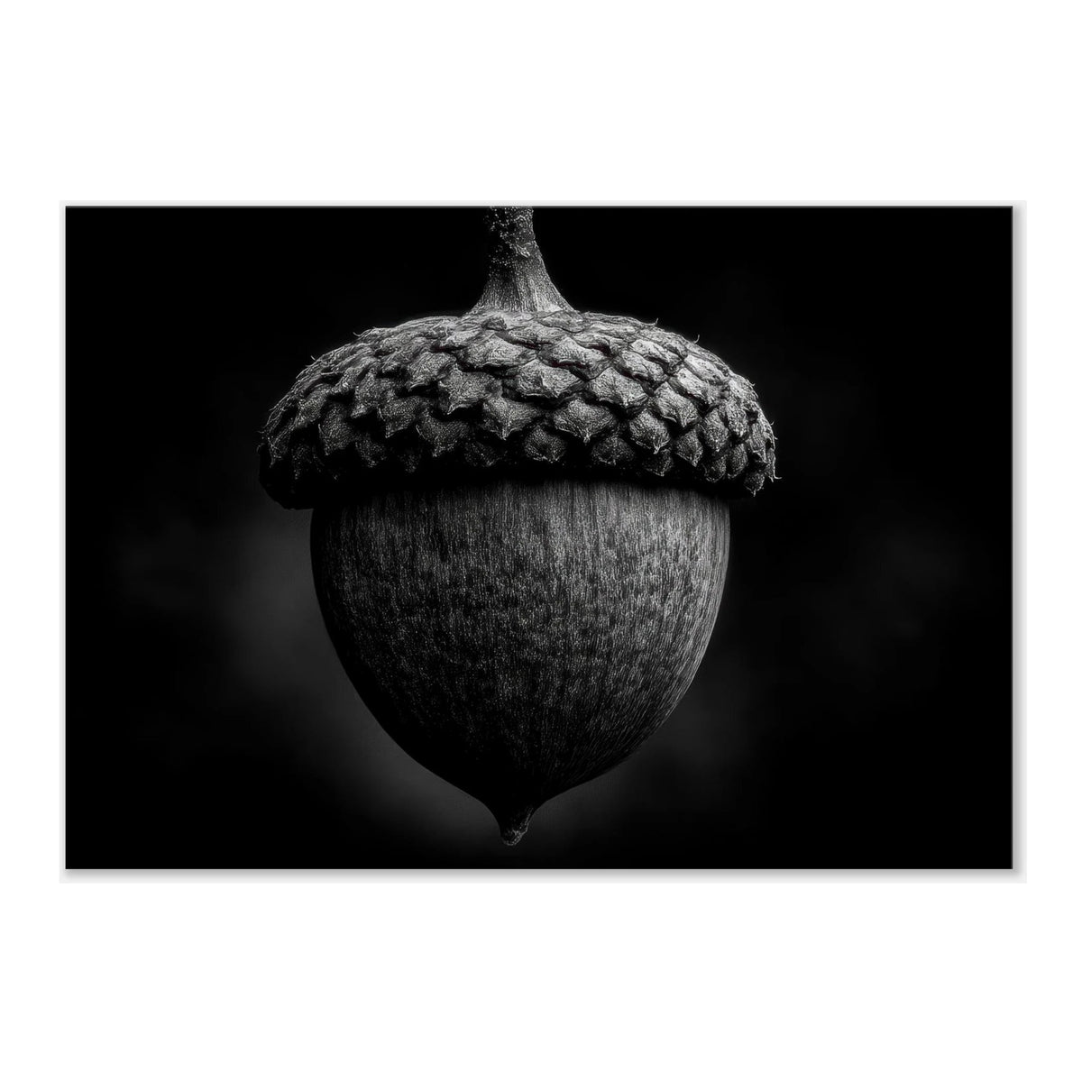 511964ce-5535-4edf-ac6a-a7265a5704e5