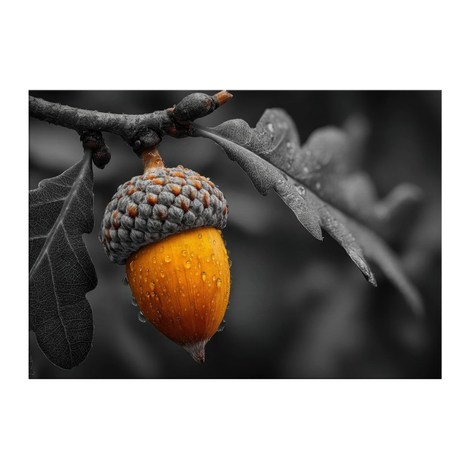 12239f18-622d-4563-a6ac-5051247622a4