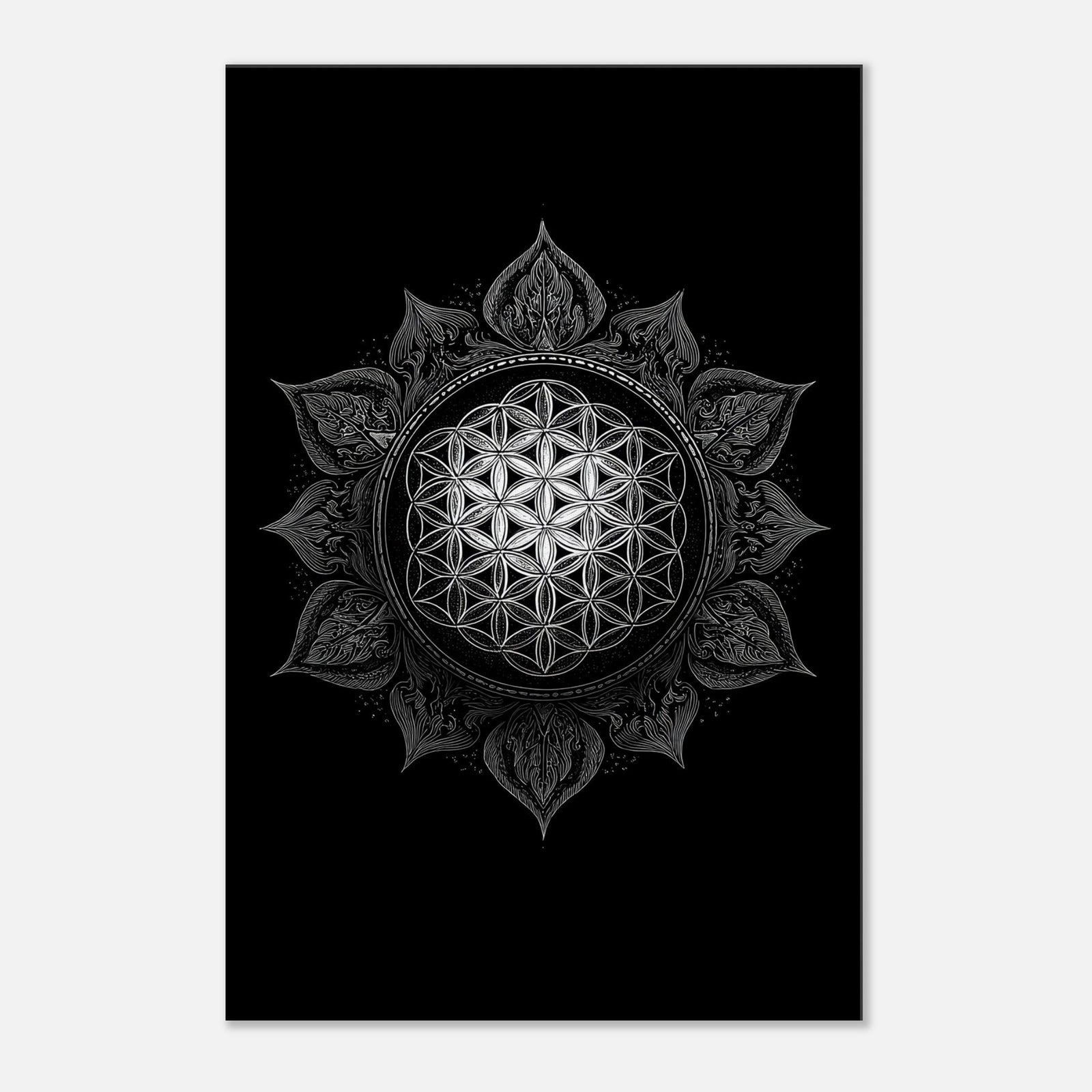 adfa98b6-6253-4c9c-b8a2-e1b990f5cf5b