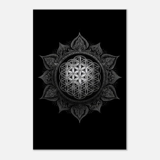 adfa98b6-6253-4c9c-b8a2-e1b990f5cf5b