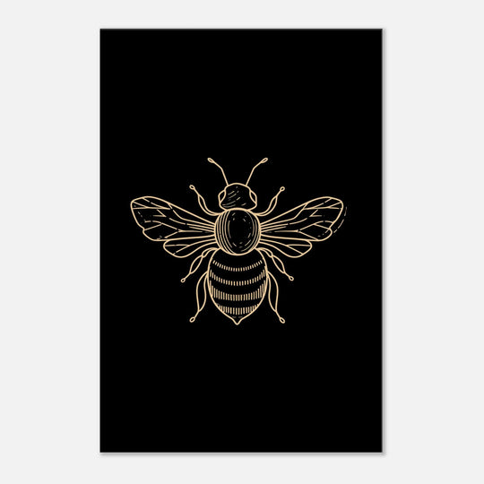 afa34995-b04a-4aa0-963f-35782274dd8c