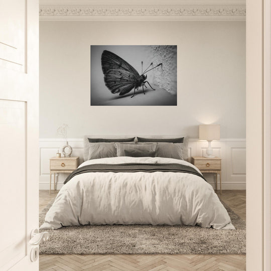 afb52573-843f-4c03-91a0-758a4900babe