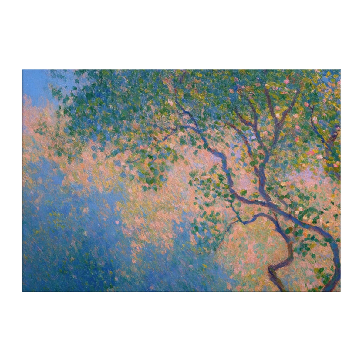 7d2ee57d-aaa6-42f3-8110-5f21bdb9ad97