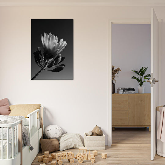 b00b5aca-c73c-47a9-a0e0-e1093e63e04c