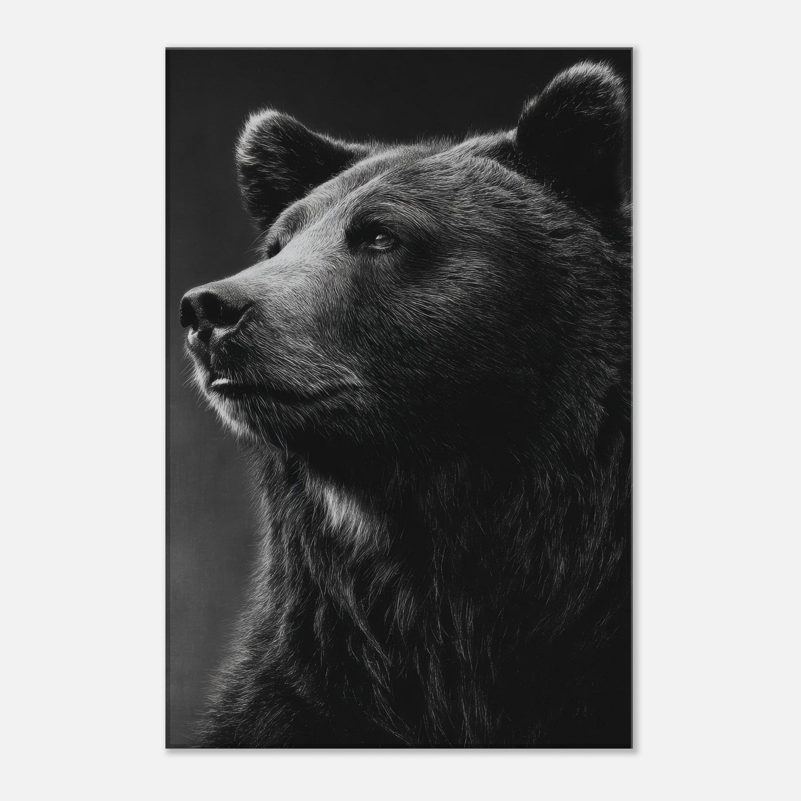 b07eff96-86d8-4765-9b11-57105019afe7