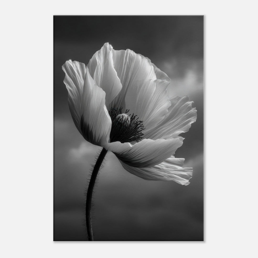 b081fbee-31a9-47c8-a895-4bbd87ed0ffb