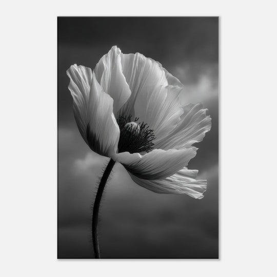 b081fbee-31a9-47c8-a895-4bbd87ed0ffb