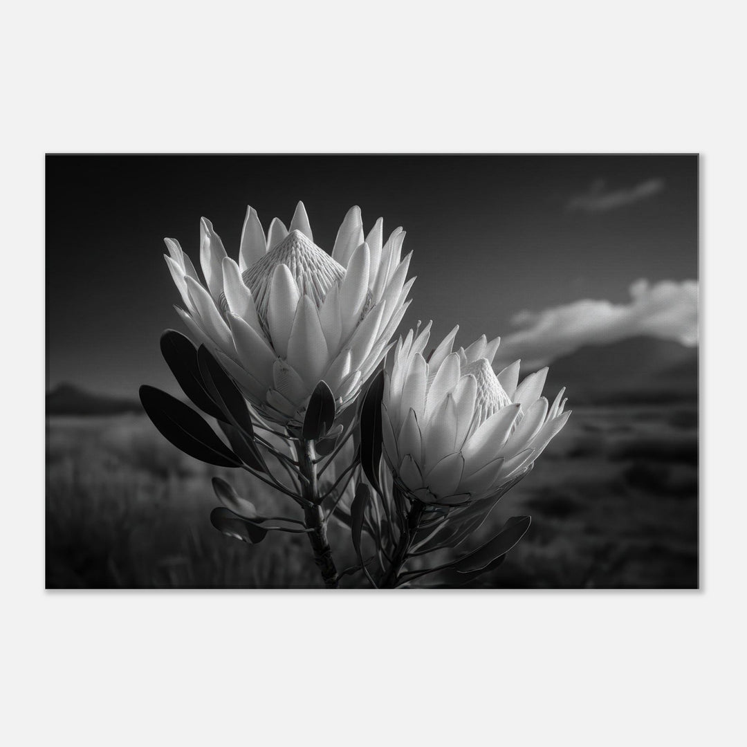 b0b178b2-3329-4922-bea6-5fadaafca049