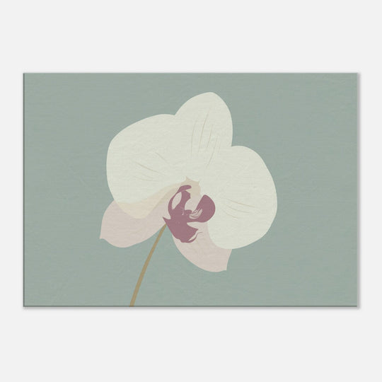 b13649c6-a375-4594-ac6d-26b2883d6c38