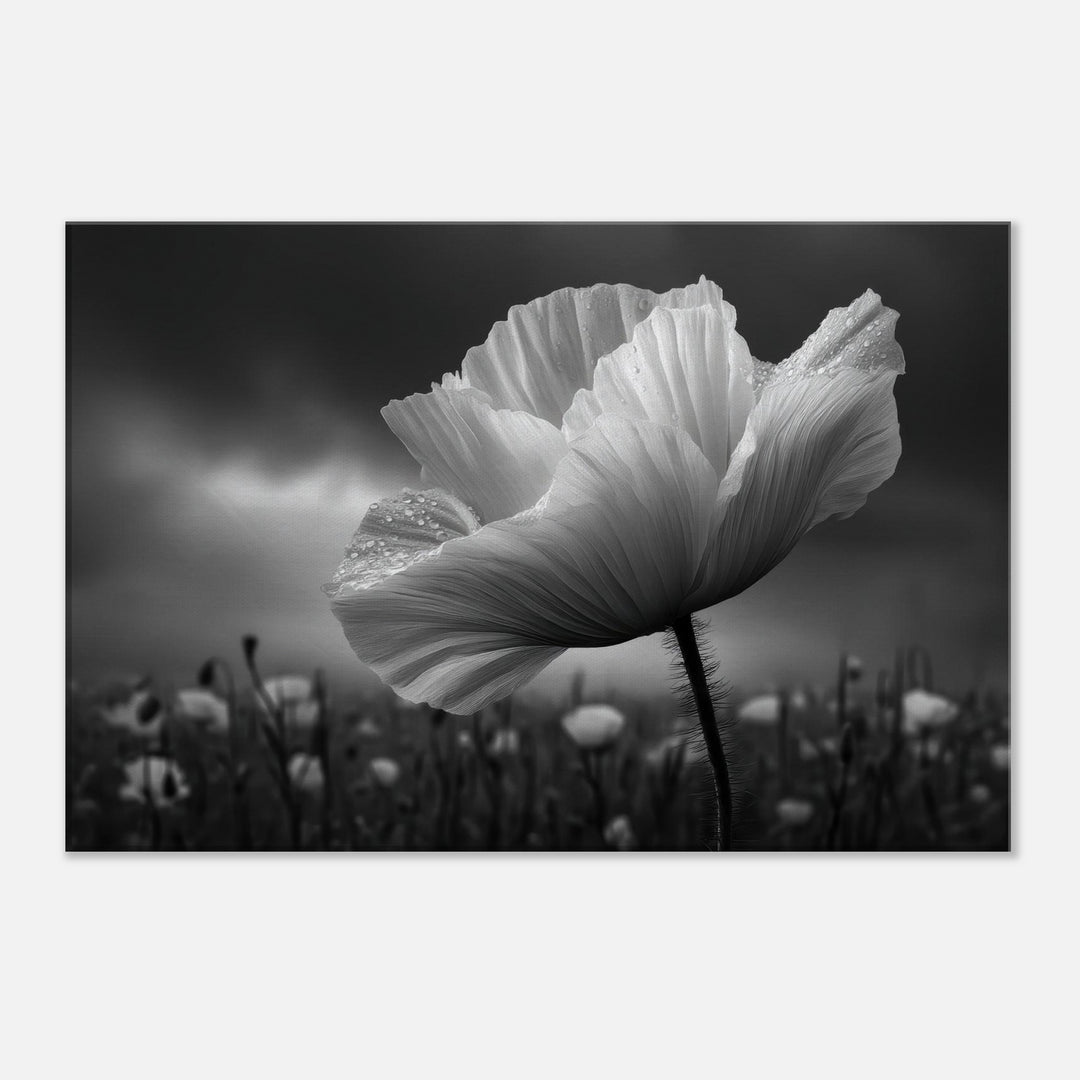 b1590d54-9563-432a-a952-9899d80035a7