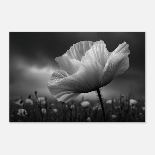 b1590d54-9563-432a-a952-9899d80035a7