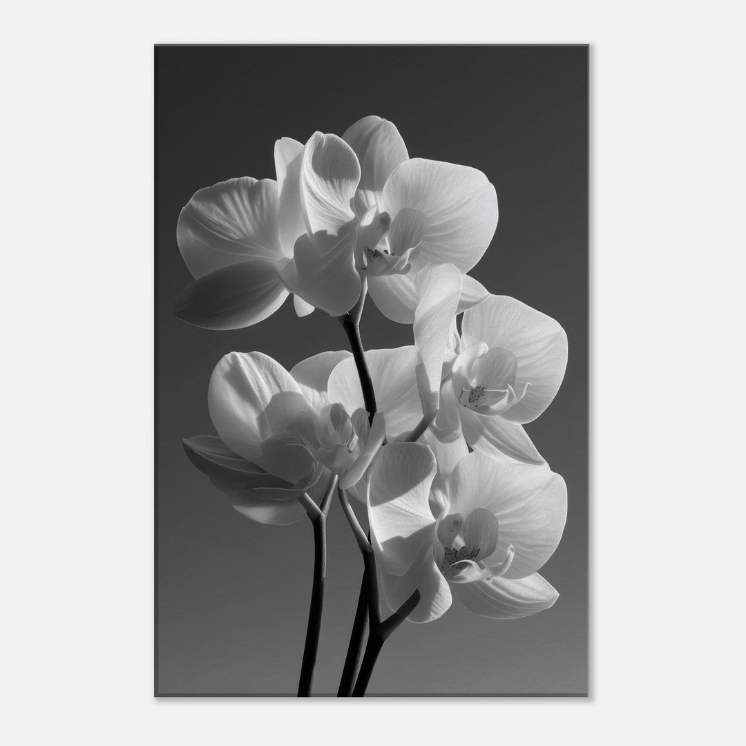 b1be3d2e-918f-4ff9-ad38-428aced341e2