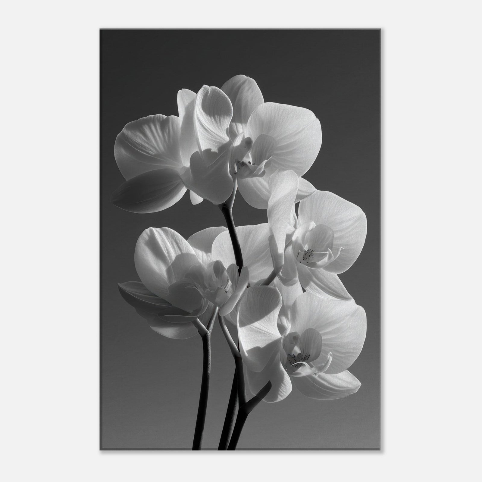 b1be3d2e-918f-4ff9-ad38-428aced341e2