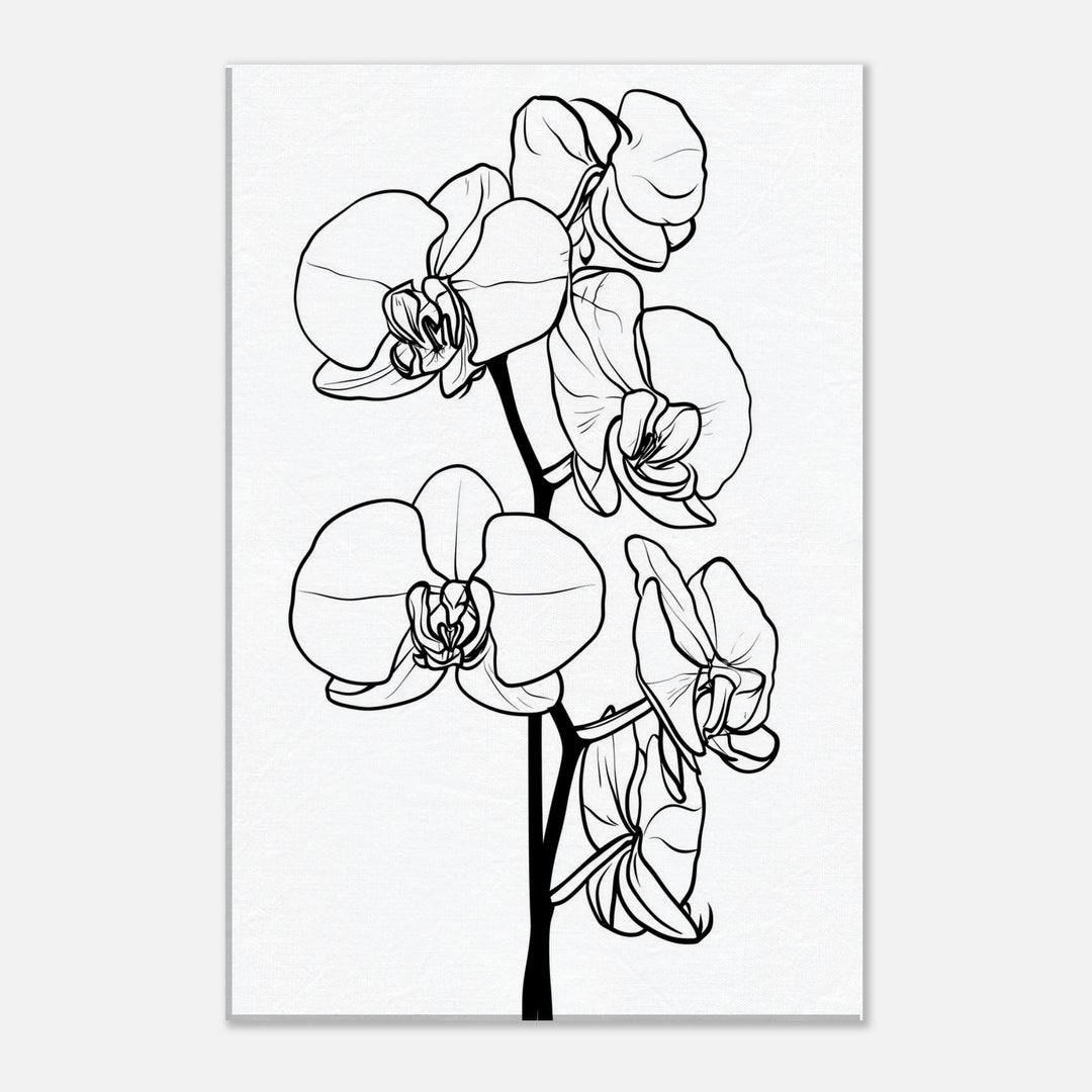 b342d8ad-36dd-4db7-9adb-bfcf931eca8d