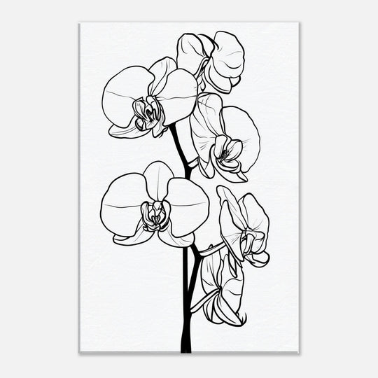 b342d8ad-36dd-4db7-9adb-bfcf931eca8d