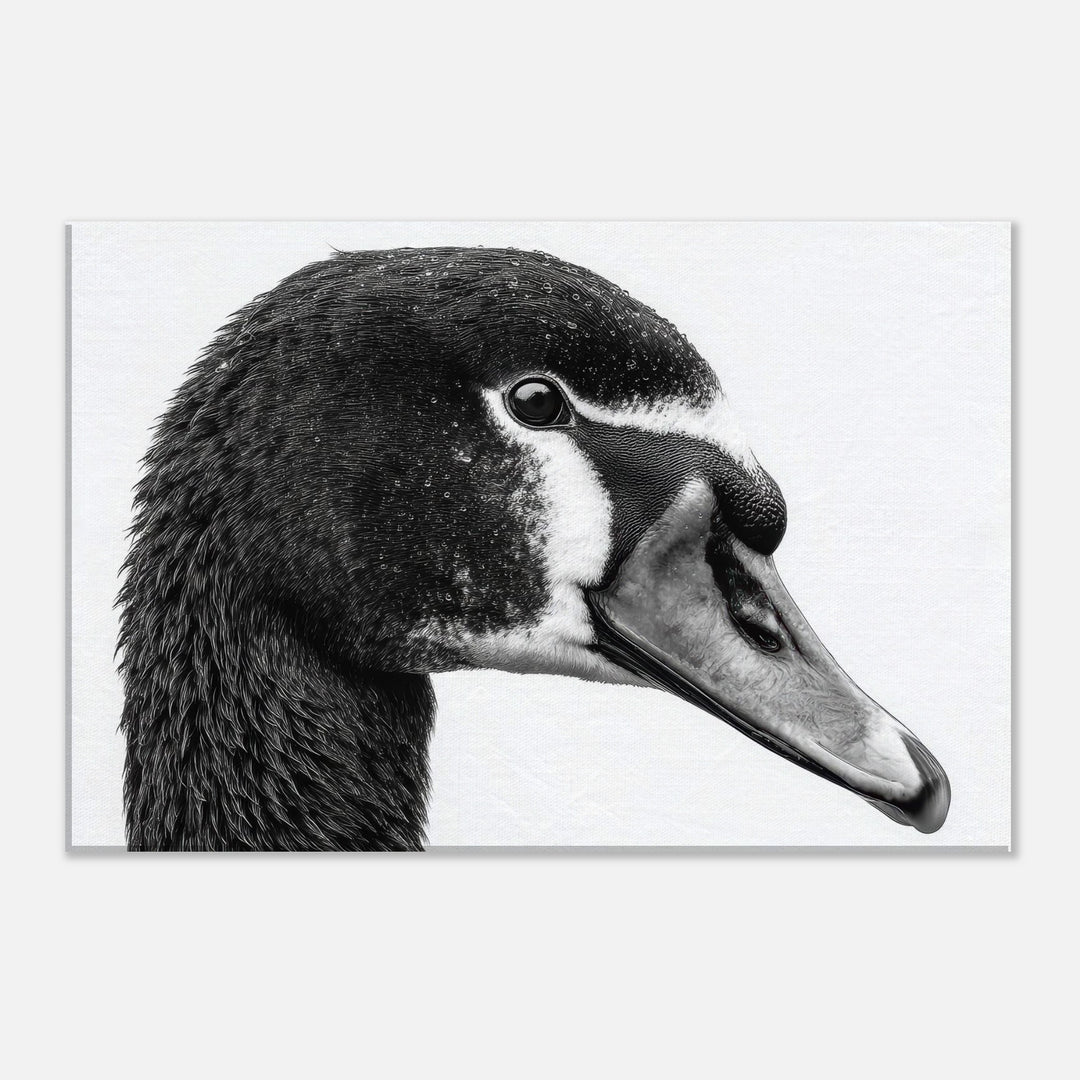 b362dabb-d433-4dfd-afae-59e0c23dcbab