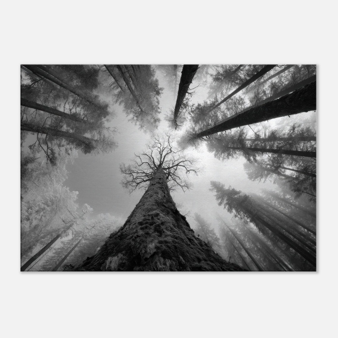 b3eaec2c-cfc1-4794-b580-717d6b18f218