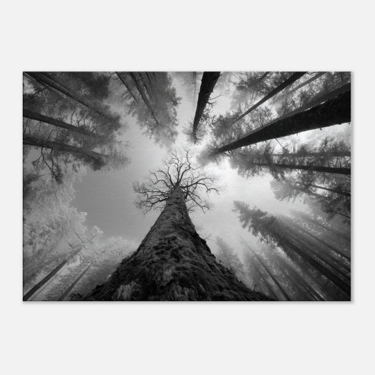 b3eaec2c-cfc1-4794-b580-717d6b18f218