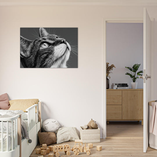 b4054169-92cf-4b4f-b405-2a946b957a5f