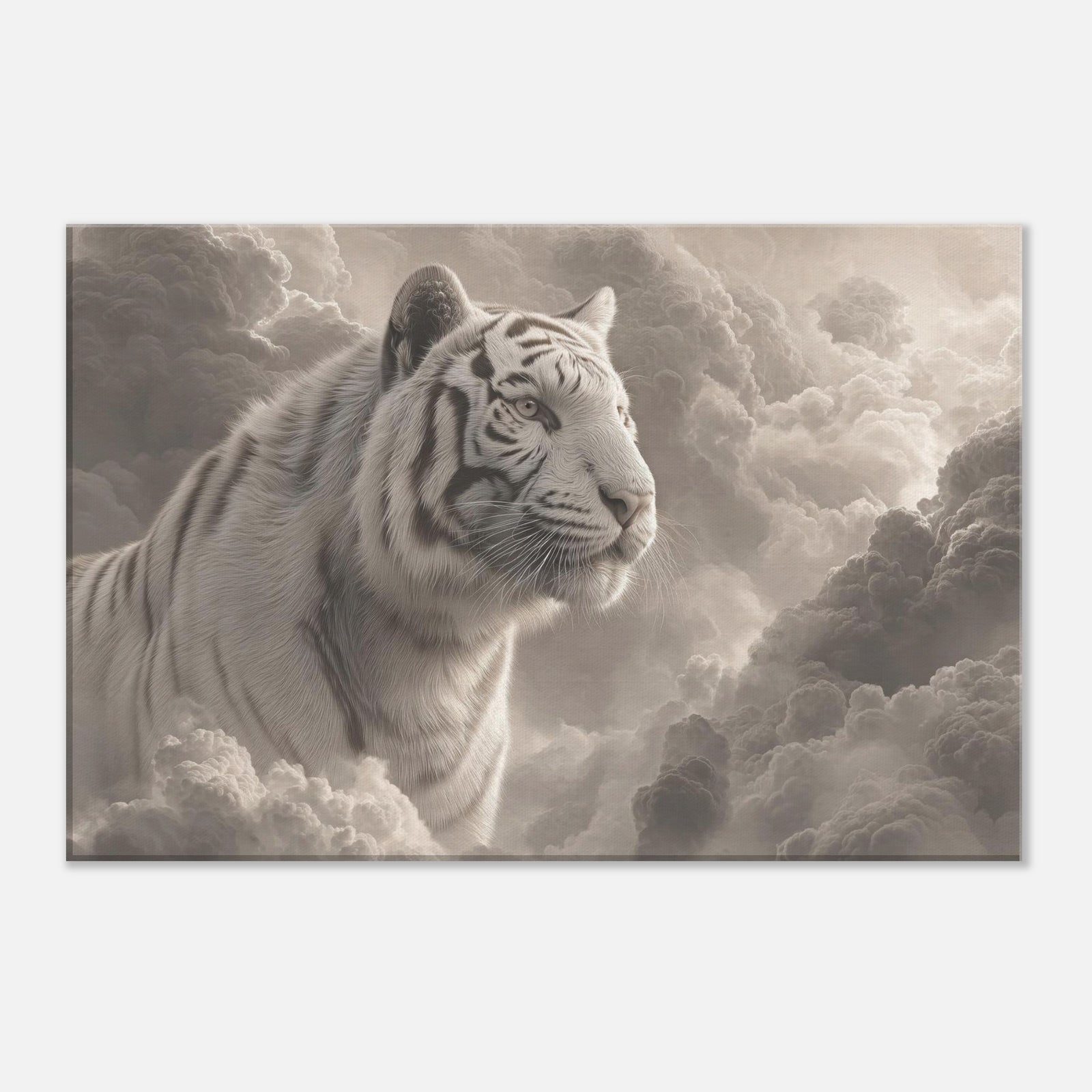 b4575ca9-5f32-47fe-8689-d9a409b49dc9