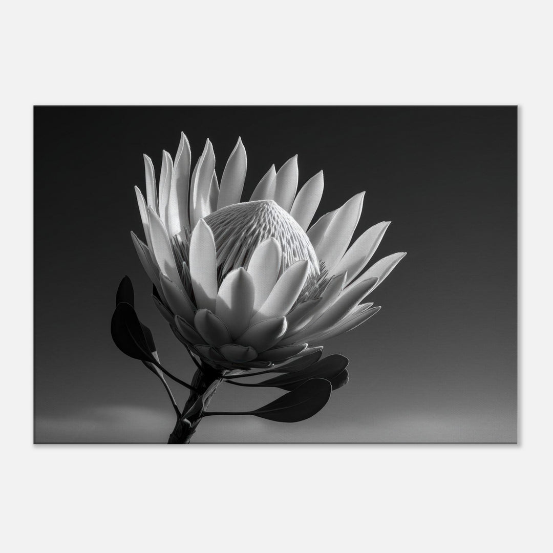 b4a90752-07b8-4419-8640-1811811a851c