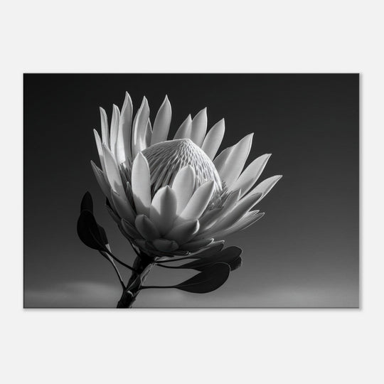 b4a90752-07b8-4419-8640-1811811a851c