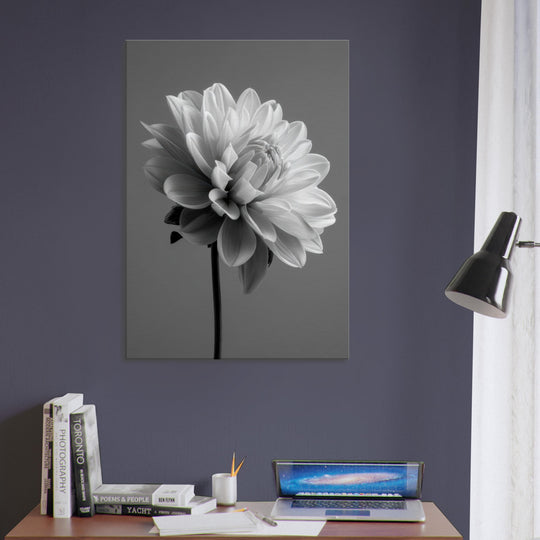 b576e0e1-9e70-404e-8b24-1239f8c3e7a3