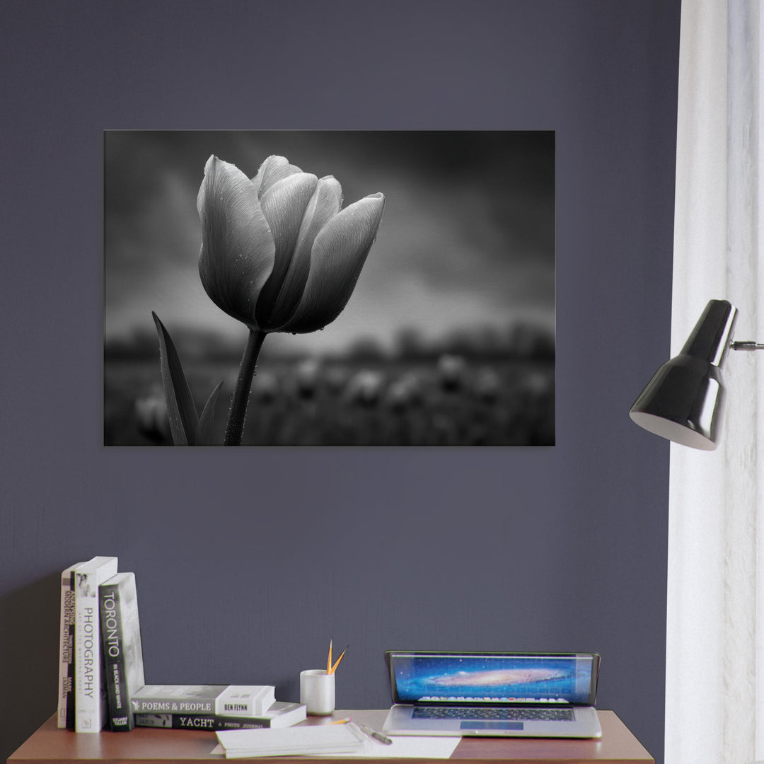 b5a9c421-9b70-43ea-ad02-ee4aa603e04e