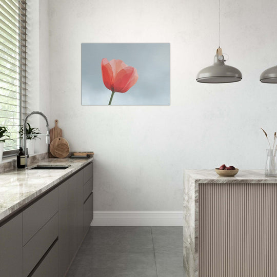 b5f34842-8632-4e17-b682-7f568127dda4