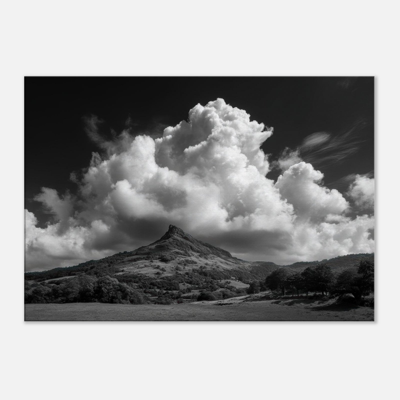 b669ee0f-1e13-46ff-a707-e124af9b9ed0