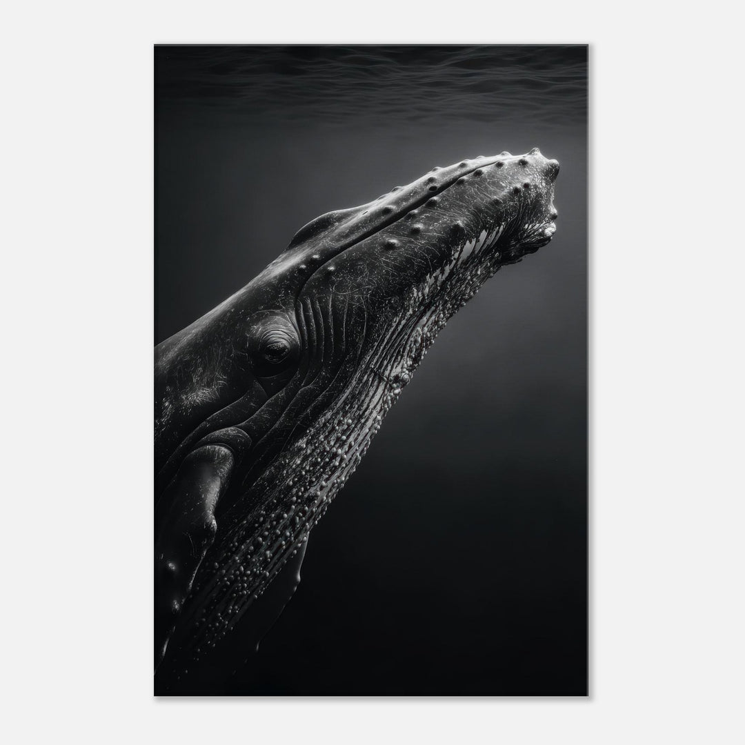 b7577639-6b77-4676-af91-6195025f2761